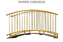 Ponte Convexa